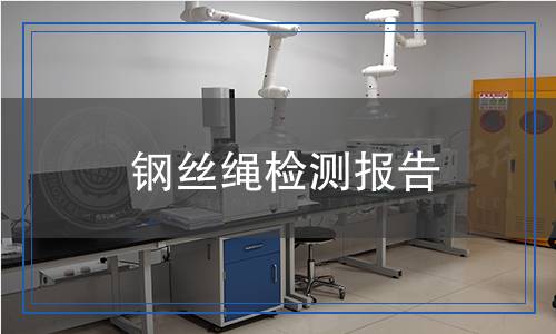 鋼絲繩檢測報告 